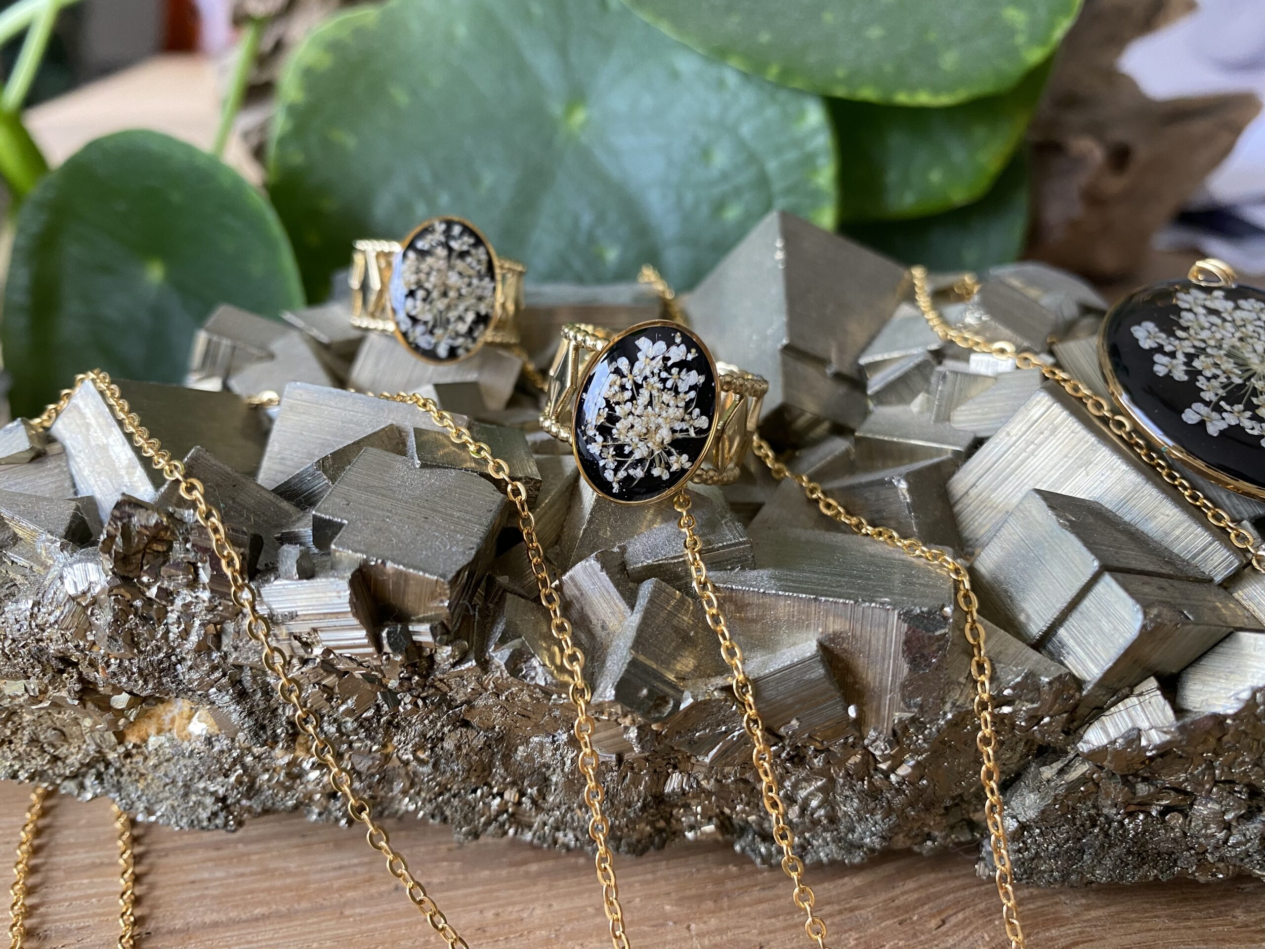 CE7E54BC-DAB6-45F5-BC15-3EFF05A0CC93